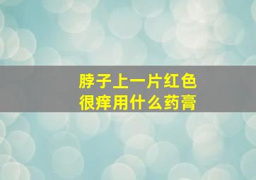 脖子上一片红色很痒用什么药膏