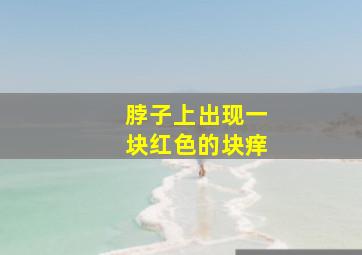 脖子上出现一块红色的块痒