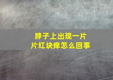 脖子上出现一片片红块痒怎么回事