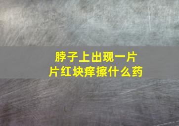 脖子上出现一片片红块痒擦什么药