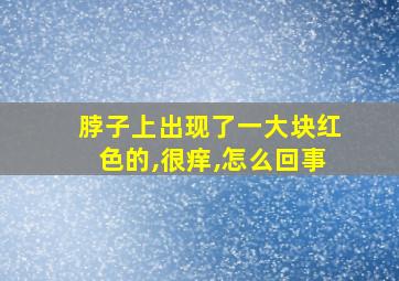 脖子上出现了一大块红色的,很痒,怎么回事