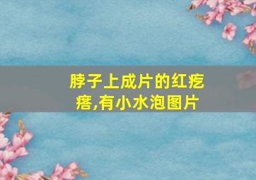 脖子上成片的红疙瘩,有小水泡图片