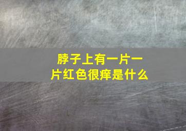 脖子上有一片一片红色很痒是什么