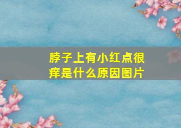 脖子上有小红点很痒是什么原因图片