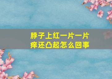 脖子上红一片一片痒还凸起怎么回事