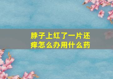 脖子上红了一片还痒怎么办用什么药