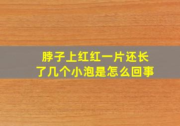 脖子上红红一片还长了几个小泡是怎么回事