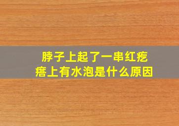 脖子上起了一串红疙瘩上有水泡是什么原因