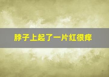 脖子上起了一片红很痒