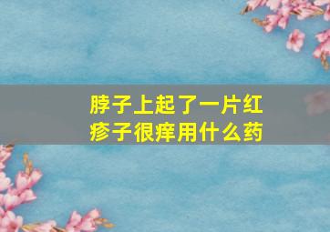 脖子上起了一片红疹子很痒用什么药