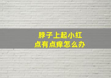 脖子上起小红点有点痒怎么办