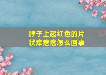 脖子上起红色的片状痒疙瘩怎么回事