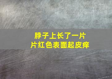 脖子上长了一片片红色表面起皮痒