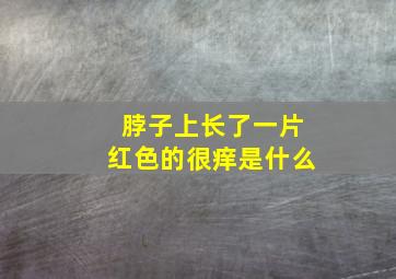 脖子上长了一片红色的很痒是什么