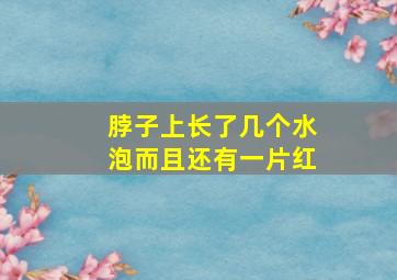 脖子上长了几个水泡而且还有一片红