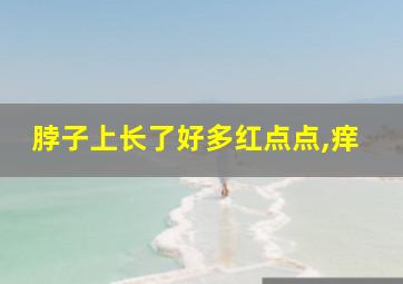 脖子上长了好多红点点,痒