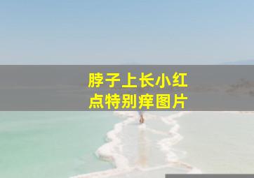 脖子上长小红点特别痒图片