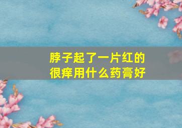 脖子起了一片红的很痒用什么药膏好