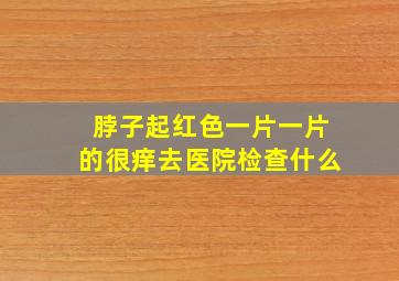 脖子起红色一片一片的很痒去医院检查什么