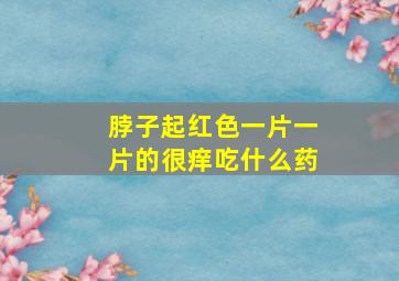 脖子起红色一片一片的很痒吃什么药