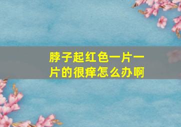 脖子起红色一片一片的很痒怎么办啊