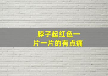 脖子起红色一片一片的有点痛