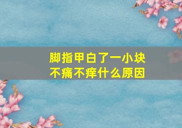 脚指甲白了一小块不痛不痒什么原因