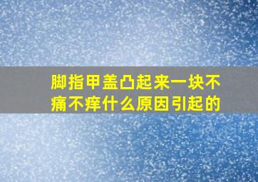 脚指甲盖凸起来一块不痛不痒什么原因引起的