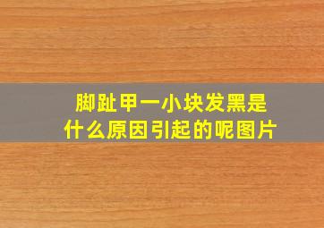 脚趾甲一小块发黑是什么原因引起的呢图片