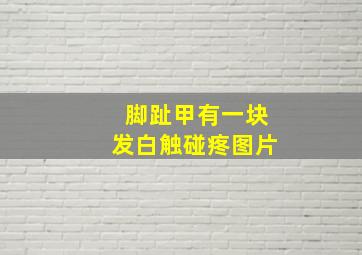 脚趾甲有一块发白触碰疼图片