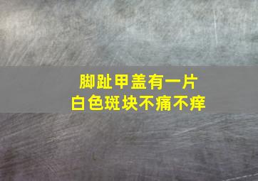 脚趾甲盖有一片白色斑块不痛不痒