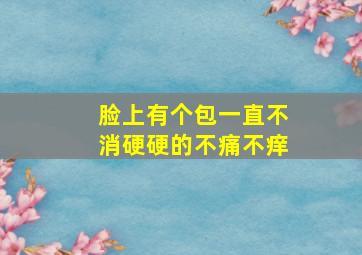 脸上有个包一直不消硬硬的不痛不痒