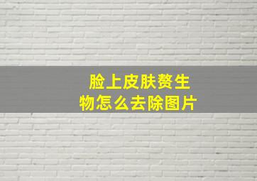 脸上皮肤赘生物怎么去除图片