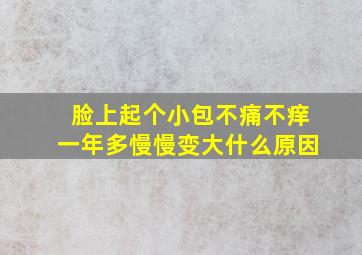 脸上起个小包不痛不痒一年多慢慢变大什么原因