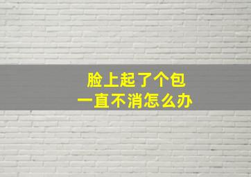 脸上起了个包一直不消怎么办