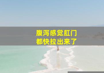 腹泻感觉肛门都快拉出来了