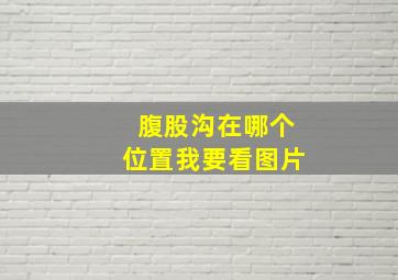 腹股沟在哪个位置我要看图片