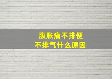 腹胀痛不排便不排气什么原因