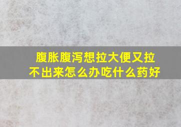 腹胀腹泻想拉大便又拉不出来怎么办吃什么药好