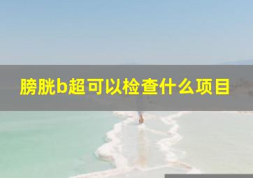 膀胱b超可以检查什么项目