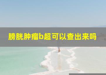 膀胱肿瘤b超可以查出来吗