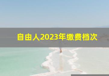 自由人2023年缴费档次