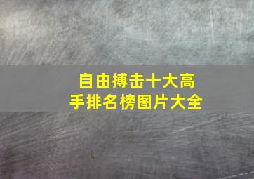 自由搏击十大高手排名榜图片大全