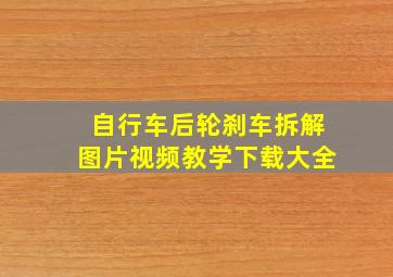 自行车后轮刹车拆解图片视频教学下载大全