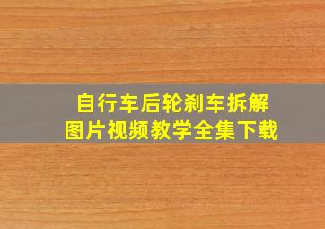 自行车后轮刹车拆解图片视频教学全集下载