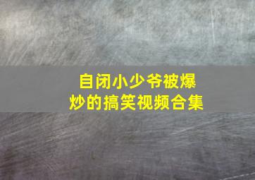 自闭小少爷被爆炒的搞笑视频合集