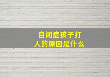 自闭症孩子打人的原因是什么