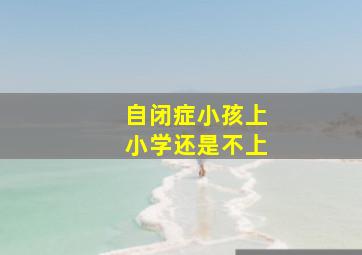 自闭症小孩上小学还是不上