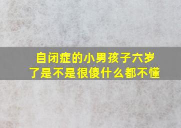 自闭症的小男孩子六岁了是不是很傻什么都不懂