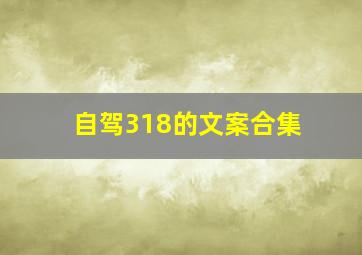 自驾318的文案合集